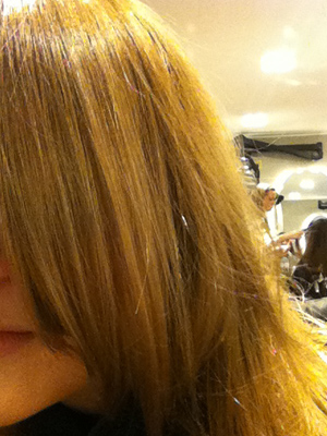 step 11a