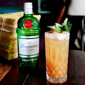 The Tanqueray Drawing Rooms